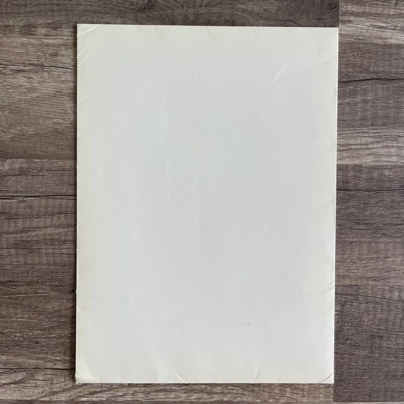 REMBRANDT, WINSLOW HOMER, PICASSO + [ POSTERS ONLY ]THE TIME-LIFE LIBRARY OF ART - Picture 2 of 6